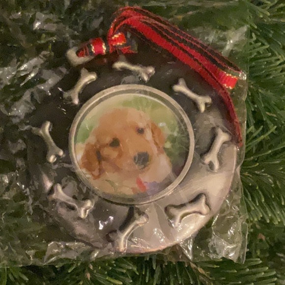 🆕 Photo Ornament for Dog - Picture 2 of 6